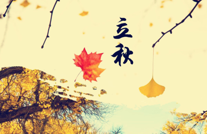 立秋節(jié)氣，搬家公司